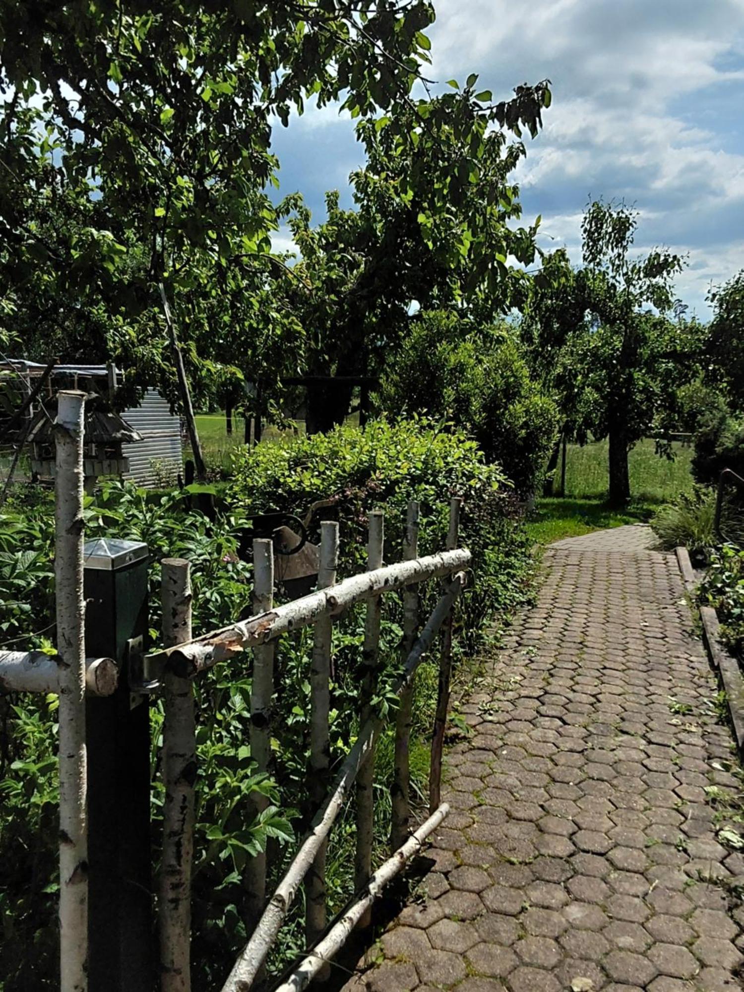 Apartament Alpenblick Nordschwaben Zewnętrze zdjęcie